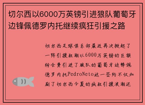 切尔西以6000万英镑引进狼队葡萄牙边锋佩德罗内托继续疯狂引援之路